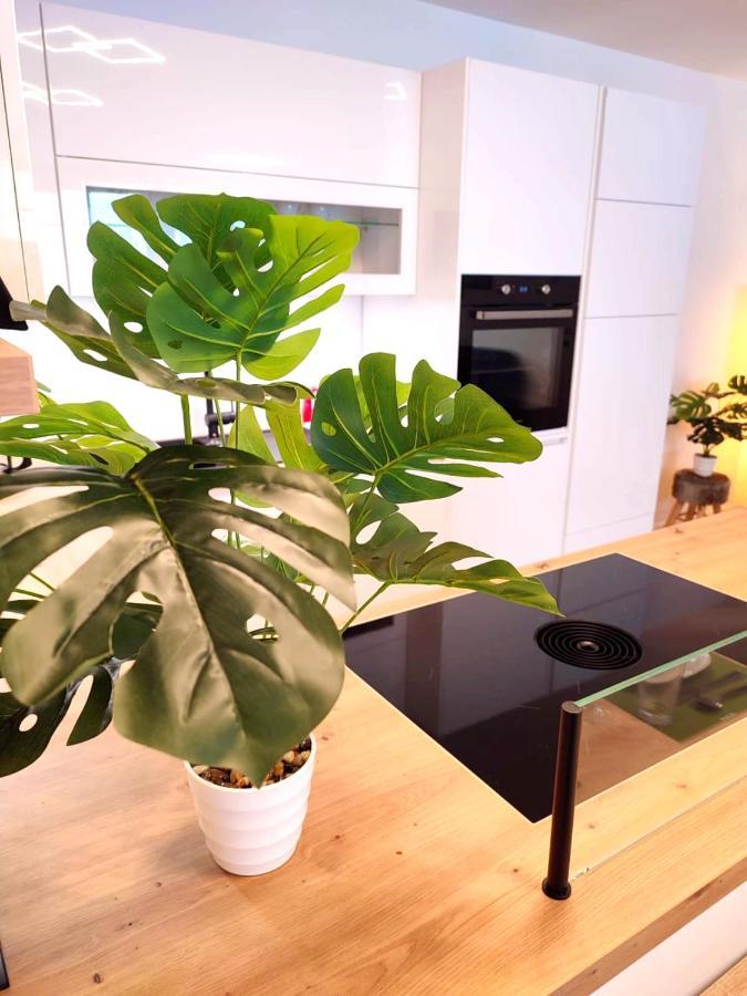 Modern Mountain Apartment - Free Parking & Sauna โอเบอร์เทาเอิร์น ภายนอก รูปภาพ